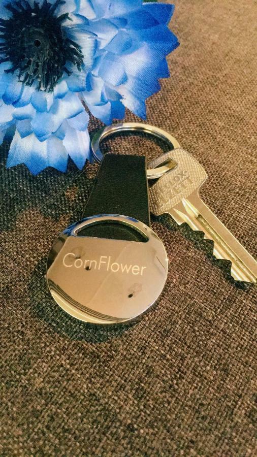 Cornflower Apartment ไฮจ์ดุสโซบอสโล ภายนอก รูปภาพ